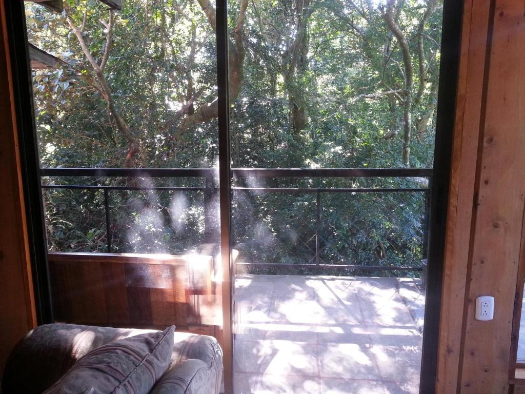 Manakin Lodge Monteverde Costa Rica Las Juntas 외부 사진